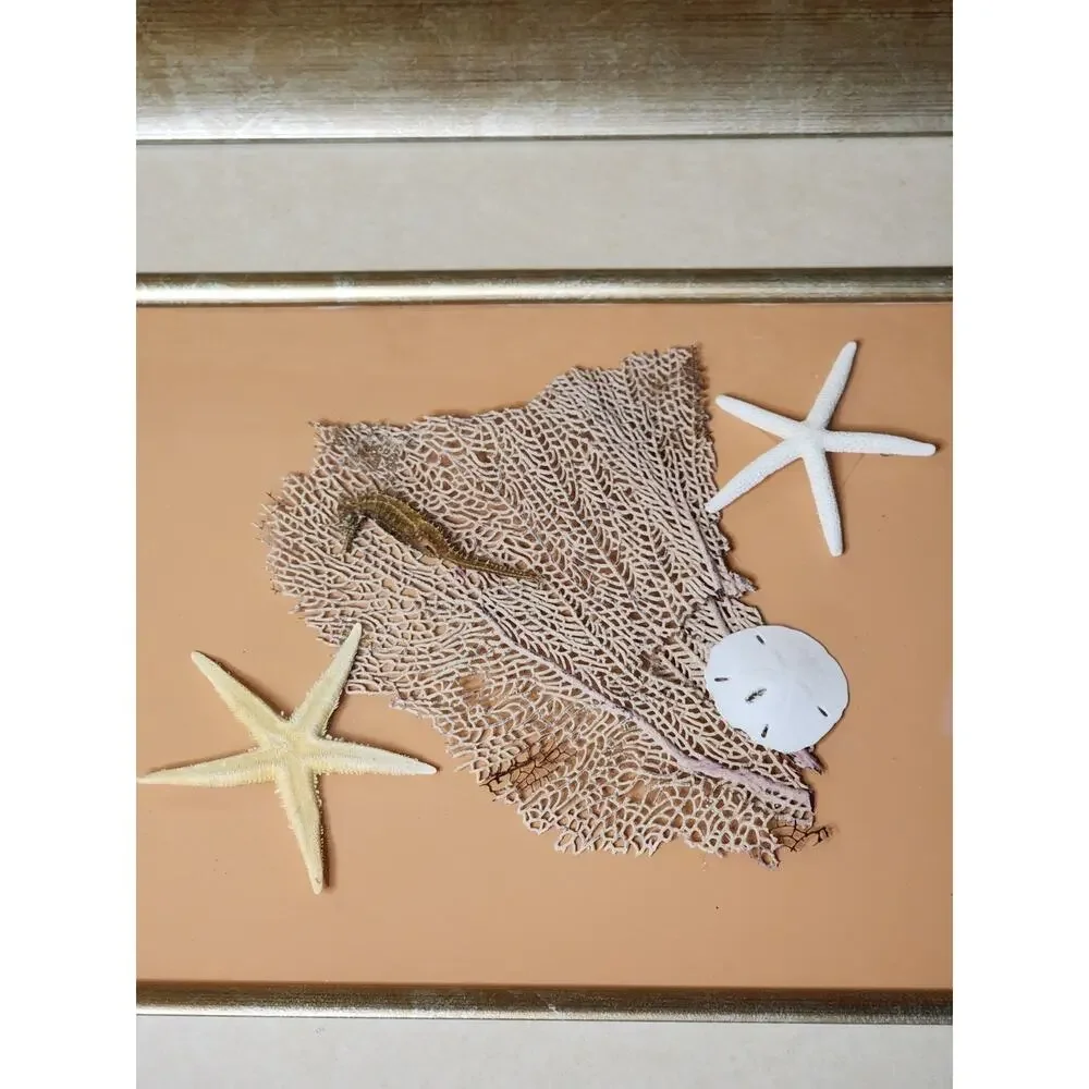 Unbranded theme materials